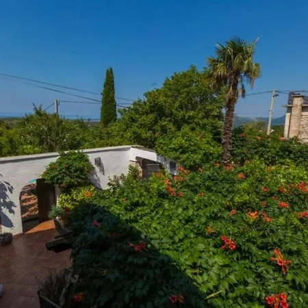 Ferienhaus Fuer 8 Personen Ca 130 Qm In Grizane, Kvarner Bucht Crikvenica Und Umgebung Σπίτι διακοπών